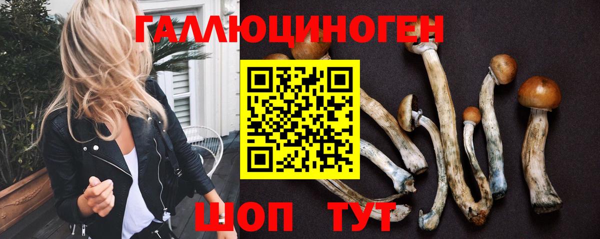 Псилоцибиновые грибы GOLDEN TEACHER Кстово