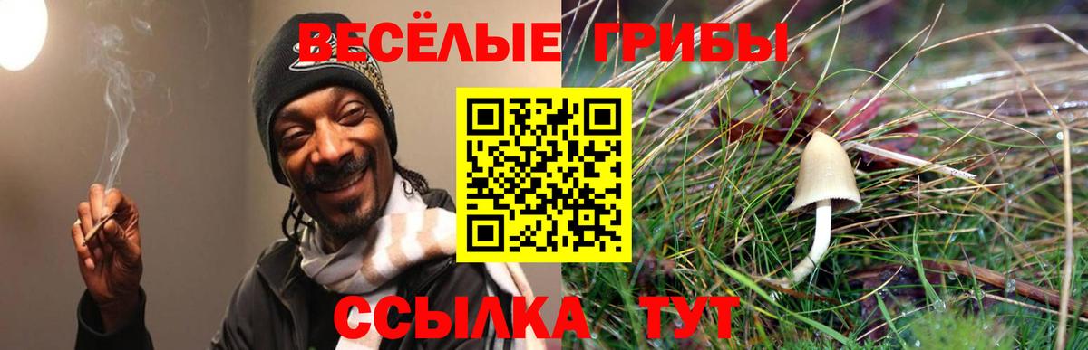 Кстово  наркота  Вход с VPN  Галлюциногенные грибы MAGIC MUSHROOMS  Галлюциногенные грибы Psilocybine cubensis 